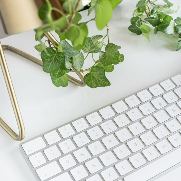 larisa-birta-7PVdw4uXnjE-unsplash